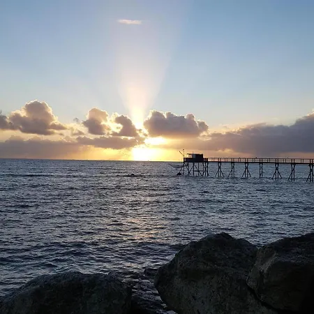 Maison Arboree Style Re Proche