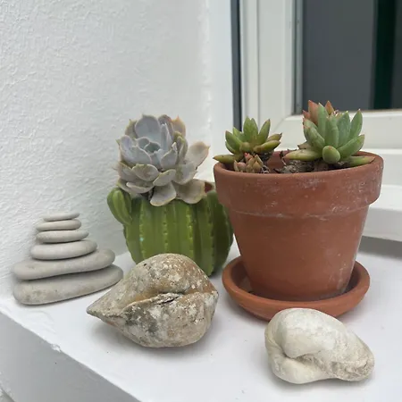 Prázdninový dům Maison Arboree Style Re Proche